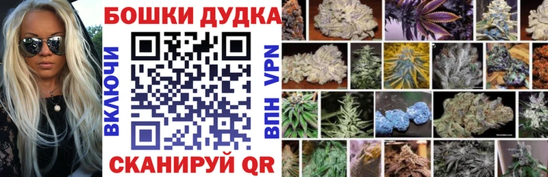 Купить  Назрань  Конопля план 